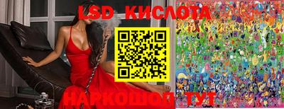 стаф Бузулук