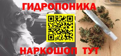 стаф Бузулук